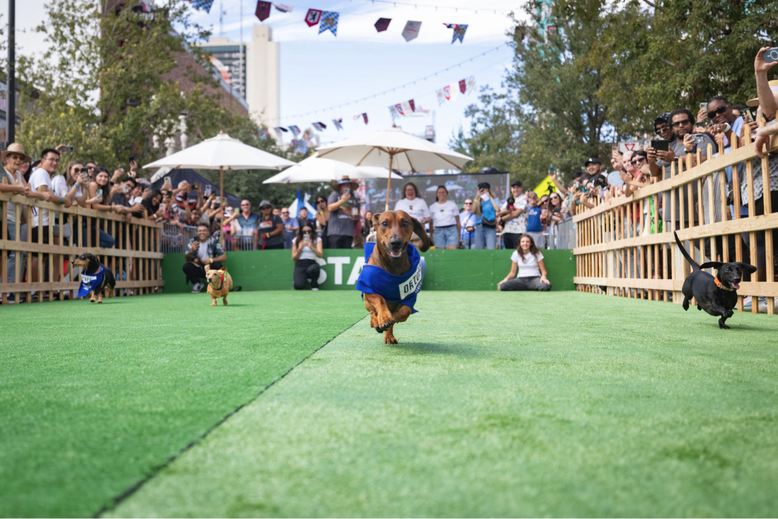 Crowd gathered around the race