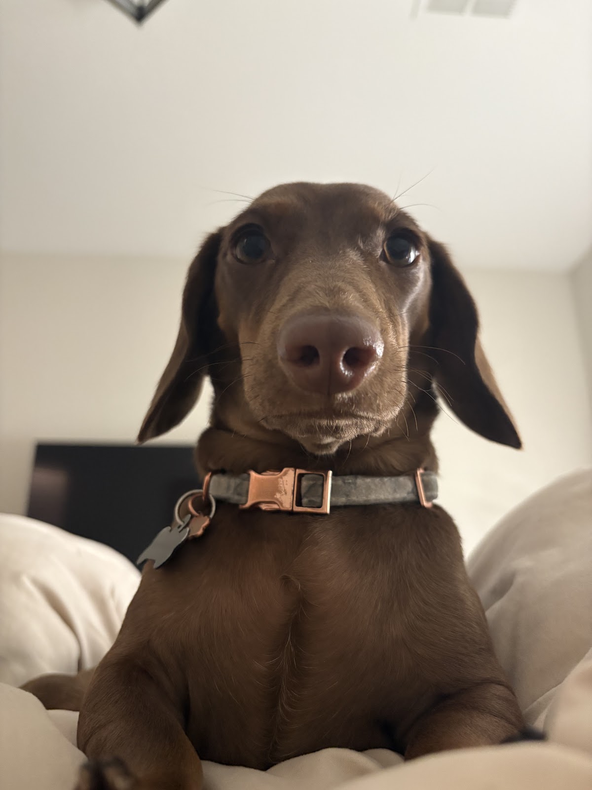 Frank during a calmer moment