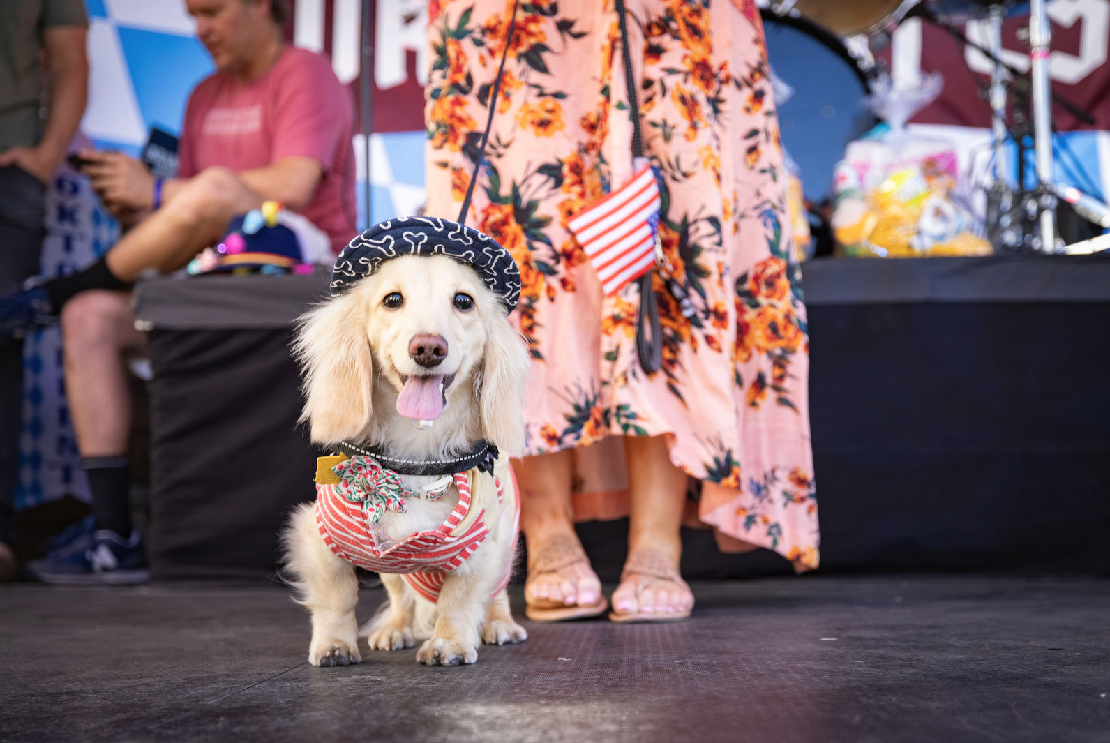 Dogs navigating the track their own way